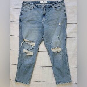 Hollister Light Blue Distressed Women Jeans